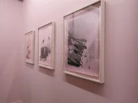 Jacky Winter Gallery