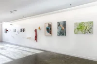 Jacky Winter Gallery