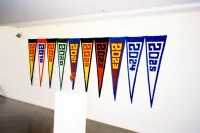 Jacky Winter Gallery