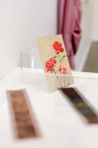 Jacky Winter Gallery