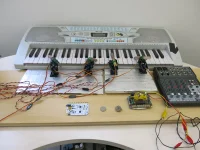 Jacky Winter Gallery