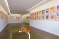 Jacky Winter Gallery