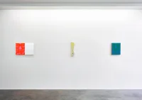 Jacky Winter Gallery