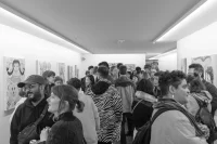 Jacky Winter Gallery