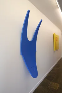 Jacky Winter Gallery