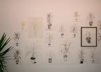 Jacky Winter Gallery