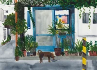 Jacky Winter Gallery