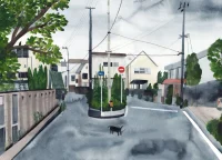Jacky Winter Gallery
