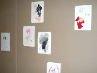 Jacky Winter Gallery