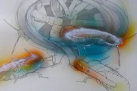 Jacky Winter Gallery