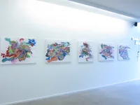 Jacky Winter Gallery