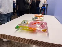 Jacky Winter Gallery