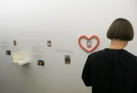 Jacky Winter Gallery