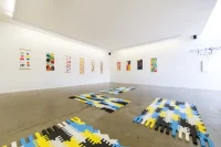 Jacky Winter Gallery