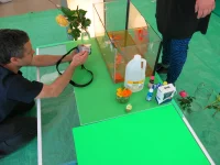 Jacky Winter Gallery