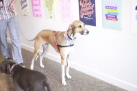 Jacky Winter Gallery