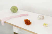 Jacky Winter Gallery