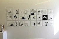 Jacky Winter Gallery