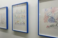 Jacky Winter Gallery