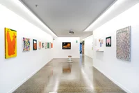 Jacky Winter Gallery