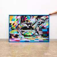 Jacky Winter Gallery