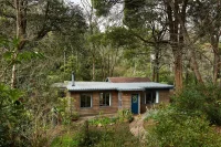 Jacky Winter Gallery