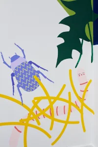 Jacky Winter Gallery