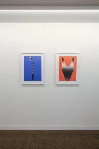 Jacky Winter Gallery