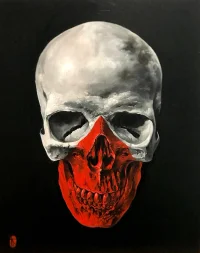 Jacky Winter Gallery