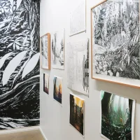 Jacky Winter Gallery