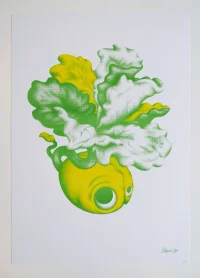 Jacky Winter Gallery