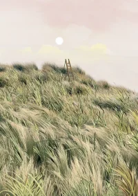 Jacky Winter Gallery