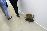 Jacky Winter Gallery