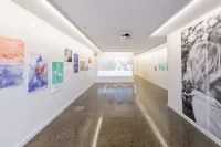 Jacky Winter Gallery