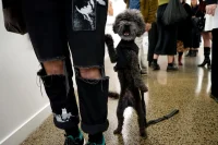 Jacky Winter Gallery