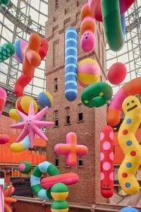 Jacky Winter Gallery