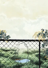 Jacky Winter Gallery