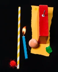 Jacky Winter Gallery