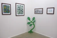 Jacky Winter Gallery