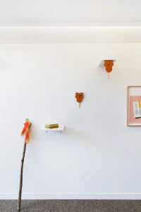 Jacky Winter Gallery