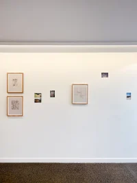 Jacky Winter Gallery
