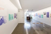 Jacky Winter Gallery