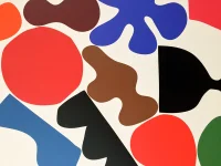 Jacky Winter Gallery