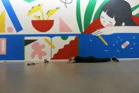 Jacky Winter Gallery