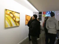 Jacky Winter Gallery