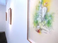 Jacky Winter Gallery