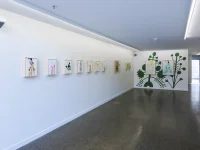 Jacky Winter Gallery