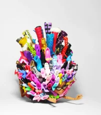 Jacky Winter Gallery