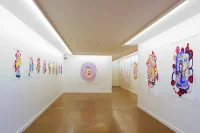 Jacky Winter Gallery