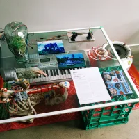 Jacky Winter Gallery